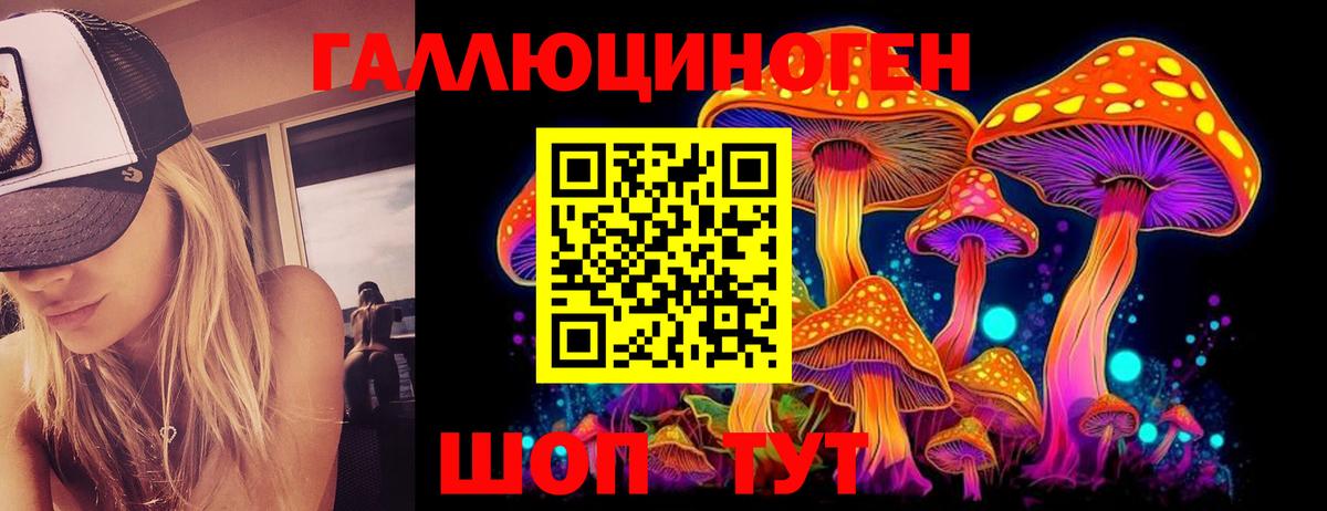 Псилоцибиновые грибы Psilocybe  купить  сайты  Псилоцибиновые грибы MAGIC MUSHROOMS  Невинномысск 
