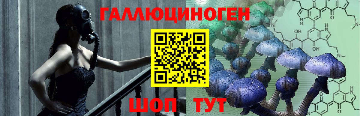Невинномысск  Псилоцибиновые грибы Magic Shrooms  сколько стоит  Галлюциногенные грибы Magic Shrooms  Вход с VPN 
